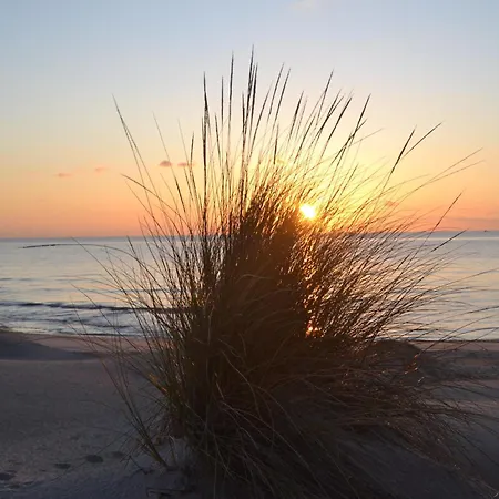 Nonna Olga 3* SantʼAnna Arresi